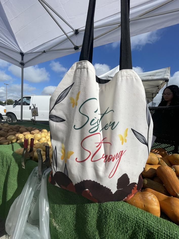 Canvas Foldable Shopping Bags_Sister Strong (1)