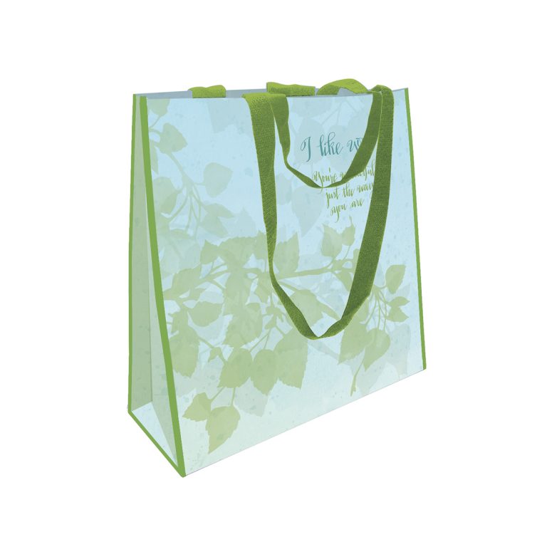 Shades of Color - Eco shopping Bags