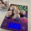 Kitchen Scale_Garden Spirit (1)