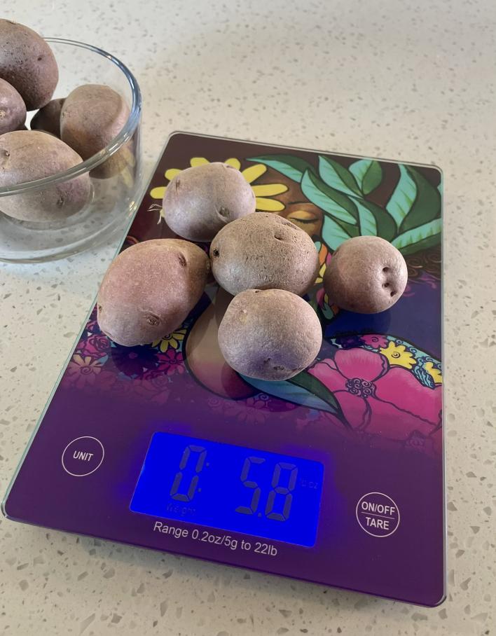 Kitchen Scale_Garden Spirit (1)