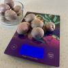 Kitchen Scale_Garden Spirit