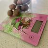Kitchen Scale_Poised for Perfection (1)