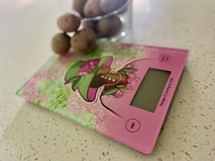 Kitchen Scale_Poised for Perfection (1)