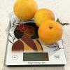 Kitchen Scales_KCS_Blossom and Grow