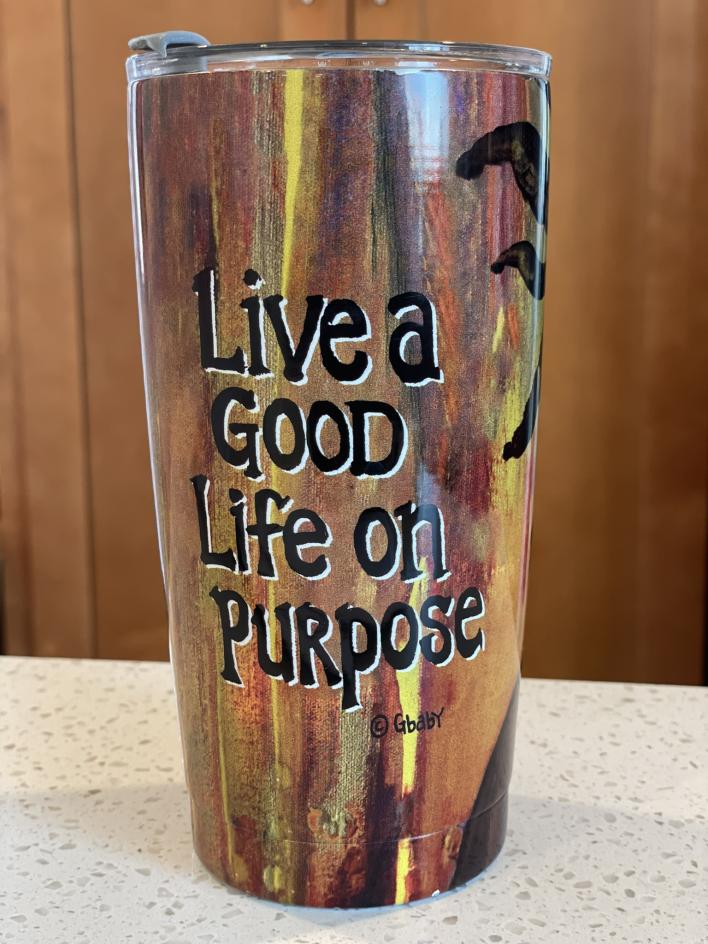 STT_Stainless Steel Tumblers (154) Live A Good Life On Purpose Stainless Steel Travel Tumblers