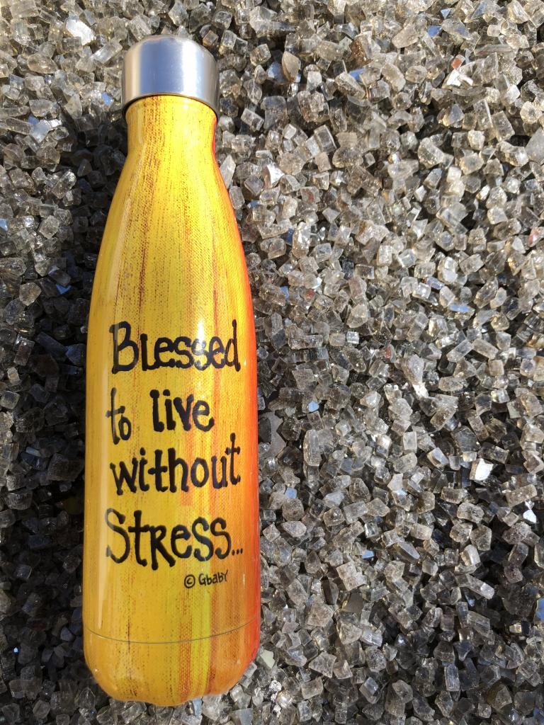 Shades Of Color Blessed To Live Without Stress Stainless Steel Bottle 8017