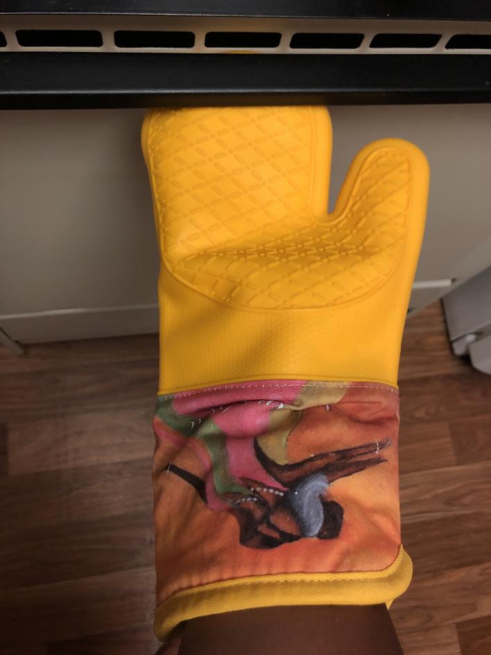 Women of Grace_Oven Mitt (1) (1)