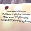 X22-160_ (1) Christmas Blossom Boxed Holiday Cards